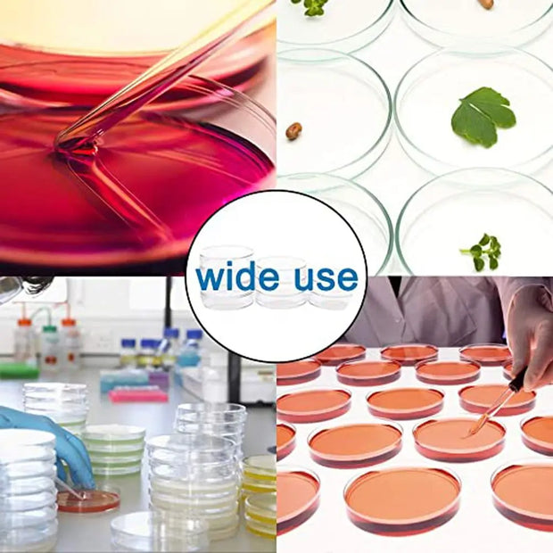10Pcs Plastic Sterile Petri Dishes Bacteria Culture Dish with Lids 55x15mm for Laboratory Biological Scientific School Supplies