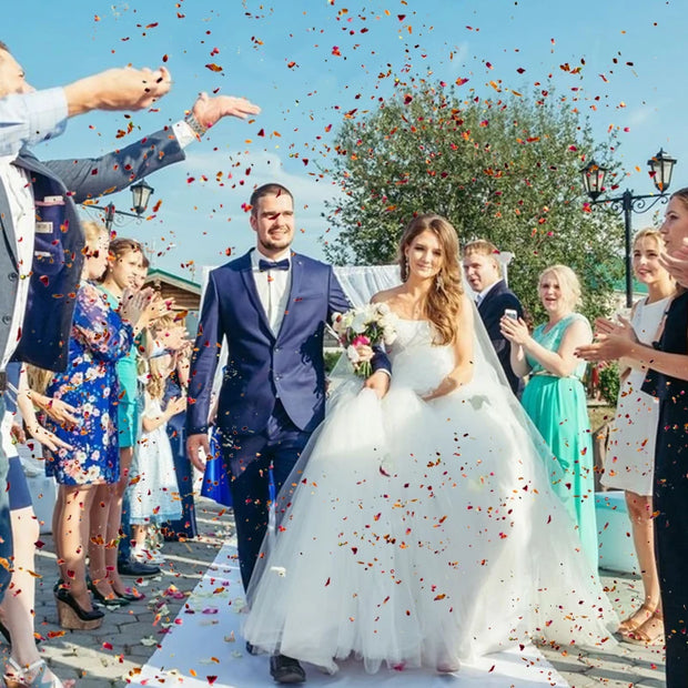 Natural Wedding Confetti Dried Flower Red Rose Petal Pop Wedding Birthday Party DIY Decoration Gift Biodegradable Party Supplies