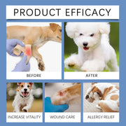 YEGBONG 100ML Dog Care Spray Gentle Cleaning Plant Extracts Skin Nourishing Vet Recommended Multi Purpose for All Breed All Life