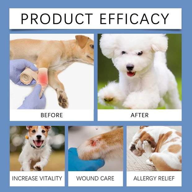 YEGBONG 100ML Dog Care Spray Gentle Cleaning Plant Extracts Skin Nourishing Vet Recommended Multi Purpose for All Breed All Life